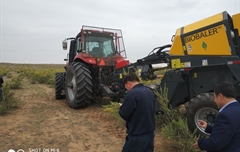 2019年，內蒙奈吉牧草有限公司，采購一臺Anderson檸條平茬機